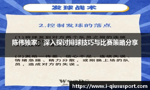 陈伟独家：深入探讨排球技巧与比赛策略分享