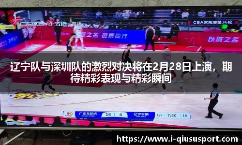 球速体育